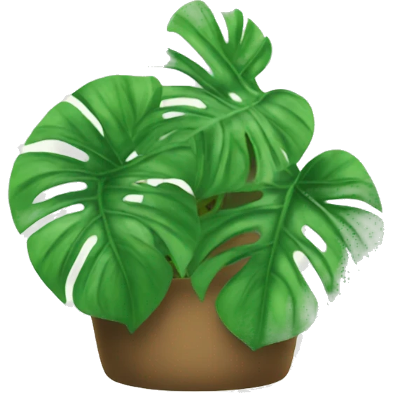 Monstera plants emoji