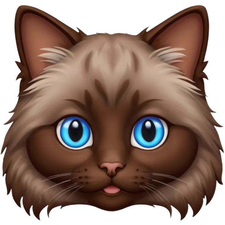 Chocolate colored ragdoll cat head emoji