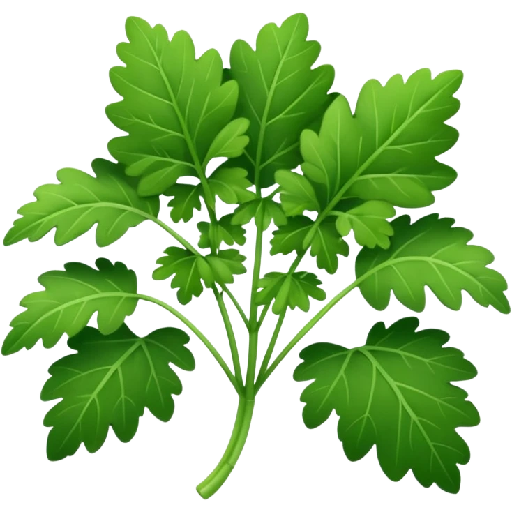 Cilantro  emoji
