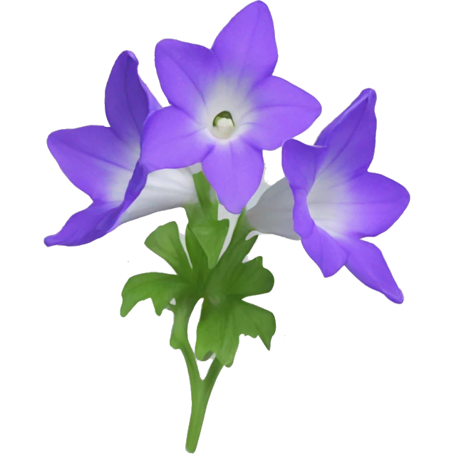 Campanula emoji