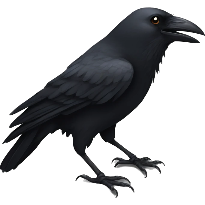 Crow emoji