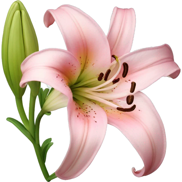 light pink lilium emoji