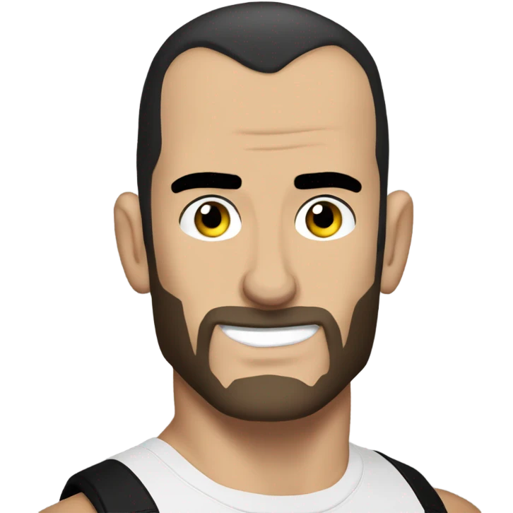 WWE cm punk emoji