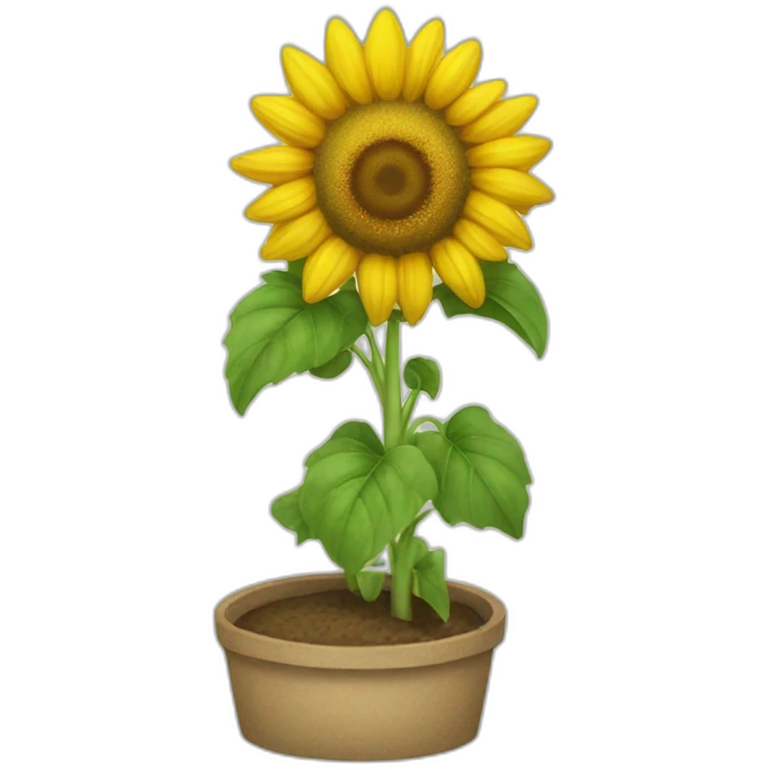 Champs de tournesol emoji