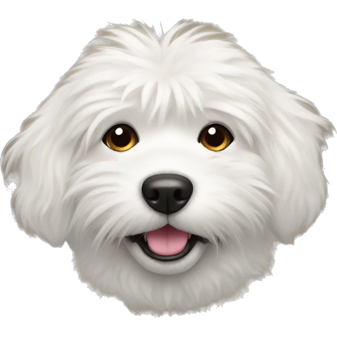white furry dog with mustache and tongue sticking out emoji