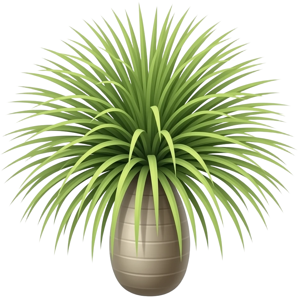 queensland bottle tree, thin stick stem, stick-like thin leaves, very sparse, widely spaced apart, 3 leaves on each side, soft emoji