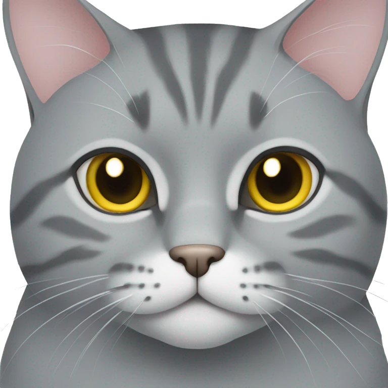 gray cat british serious emoji