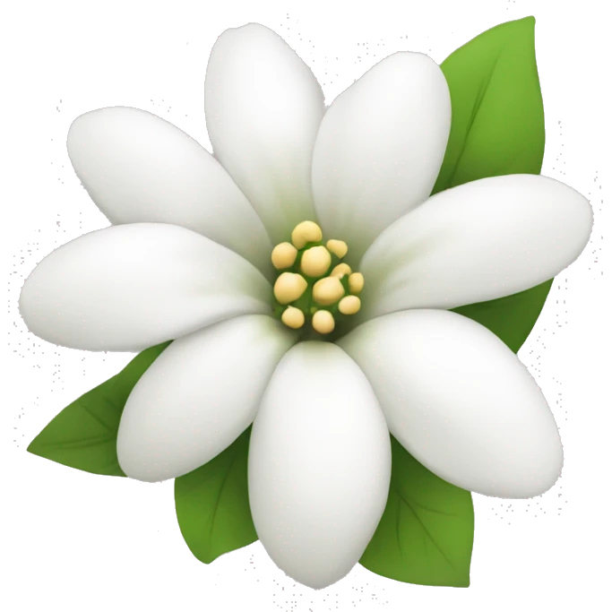 coquette white flower emoji
