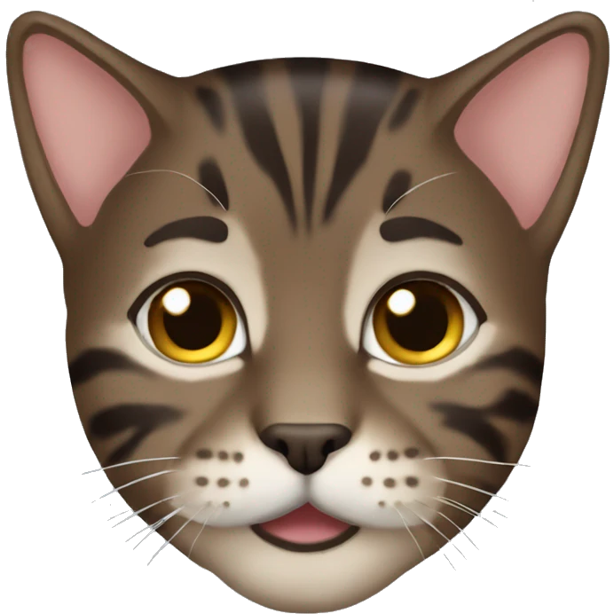 Dark brown medium hair tabby emoji