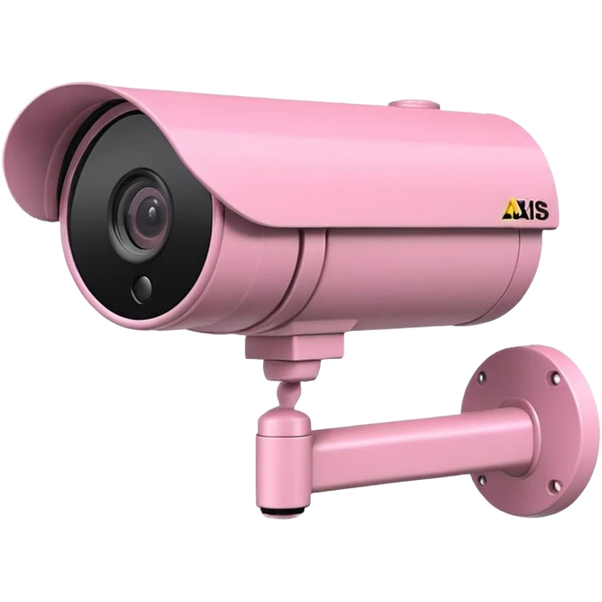 Security Camera pink Axis P1346-E emoji