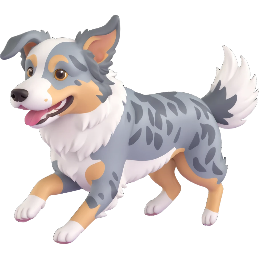berger américain merle bleu (poil noir plutot que gris/bleu, blanc et marron)  en train de courir sur plage  emoji