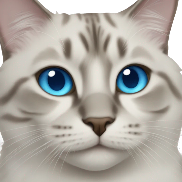blue eyed cat indoors emoji
