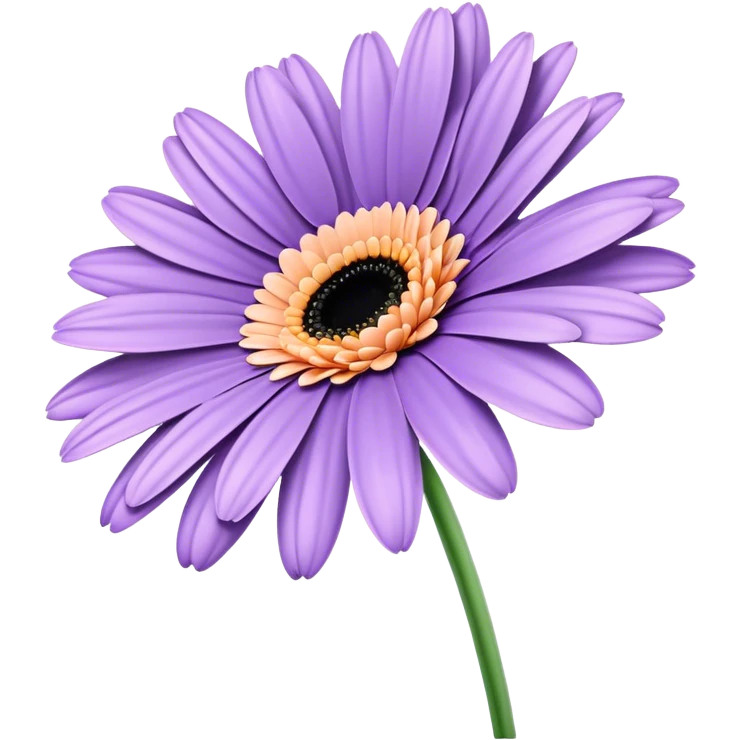 single Lavender Gerbera Daisy, straight stem emoji