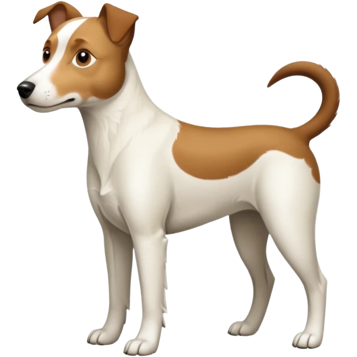 a full body large white parson russell looking dog the size of a kelpie with light brown flapped down ears and a light brown patch on one eye and a large snout emoji