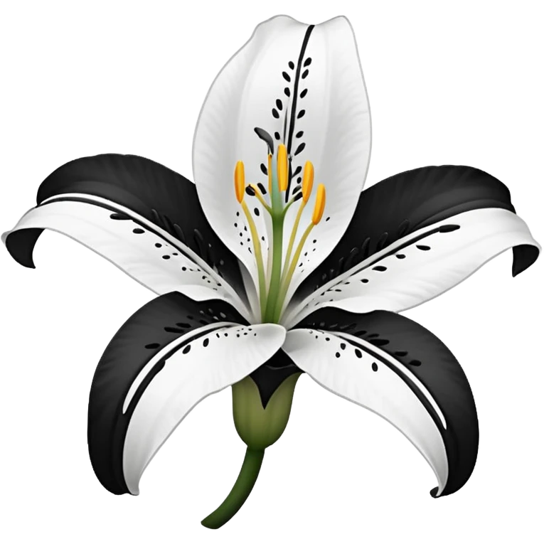 an outline of one singular lily flower, no colour,just outline emoji