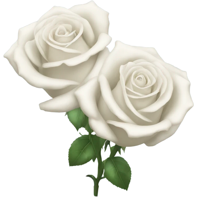 2 white roses with Leifs too  emoji
