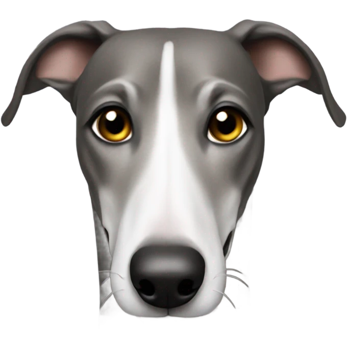Greyhound wearing fleece emoji