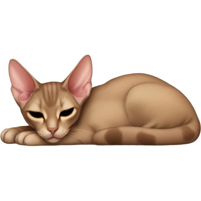 Brown oriental shorthair cat sleeping emoji