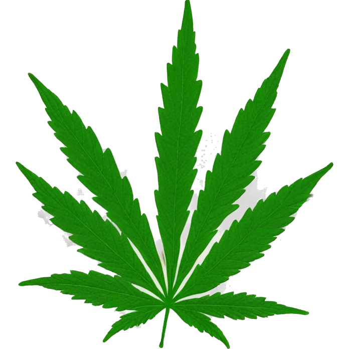 Cannabis leaf in New York City  emoji