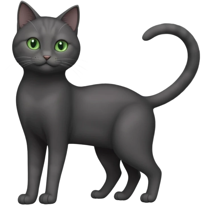 full body gorgeous solid dark grey cat with green eyes, white paws and white whiskers stretching like a cat emoji