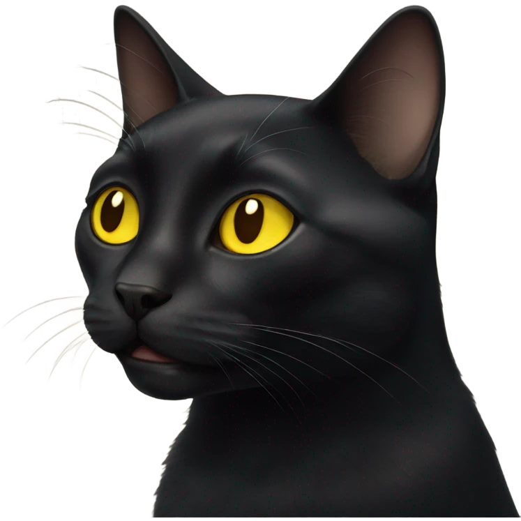 Black cat with yellow eyes emoji