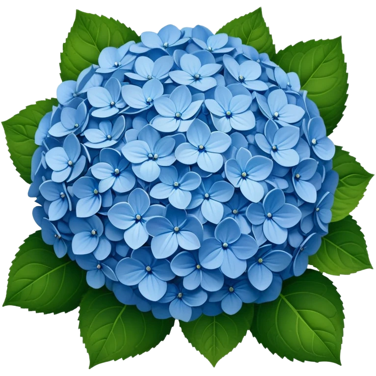 Beautiful blue hydrangea flower cluster with rounded ball shape and lush green leaves emoji