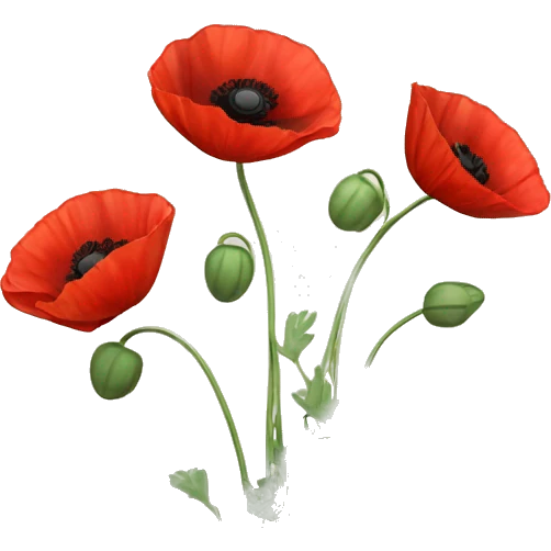 three red poppies with stems emoji