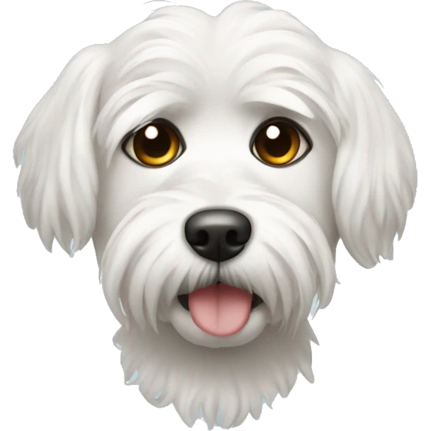 maltese dog with drown around his eyes and nose emoji
