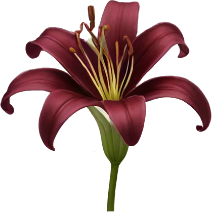 realistic burgundy lily emoji