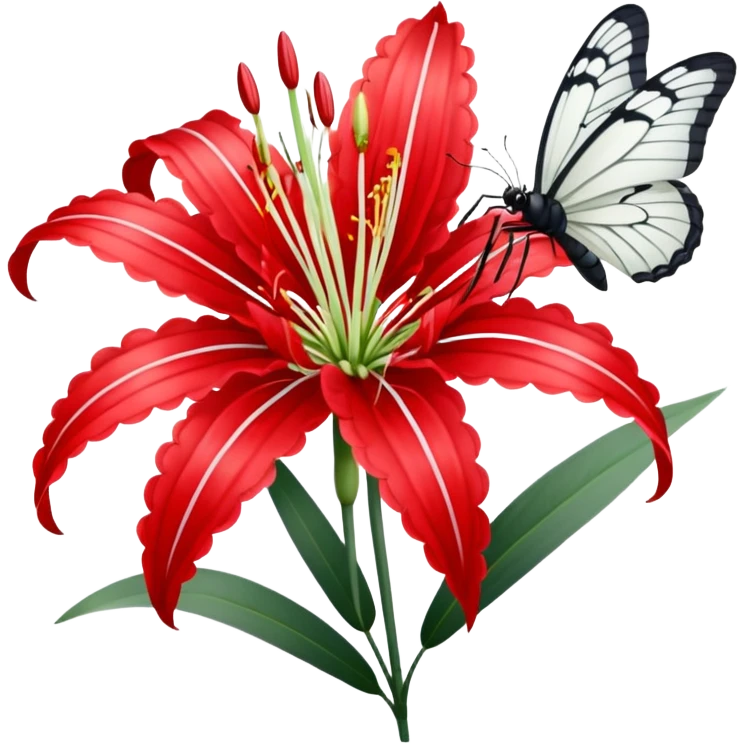 Red spider Lilly with white butterfly  emoji
