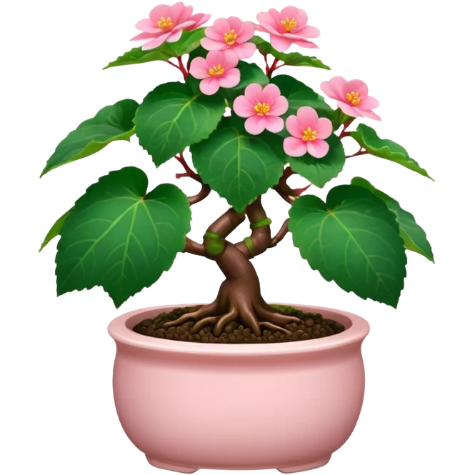 Begonia bonsai emoji