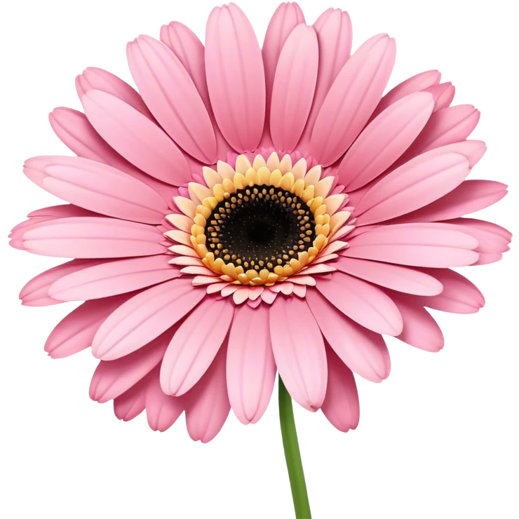 single Soft Pink Gerbera Daisy, straight stem emoji