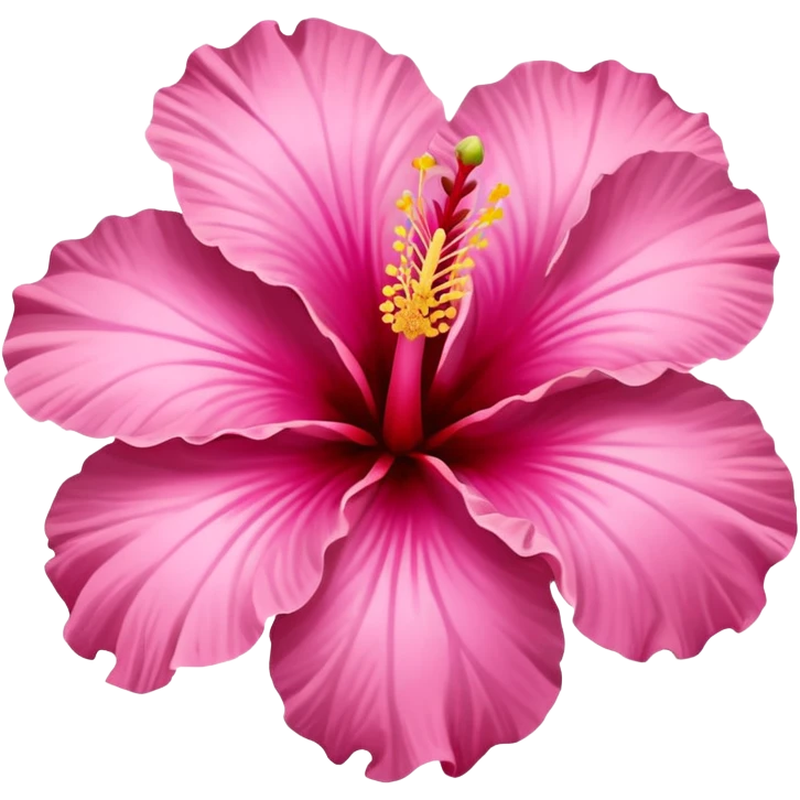 hibiscus flower pink emoji
