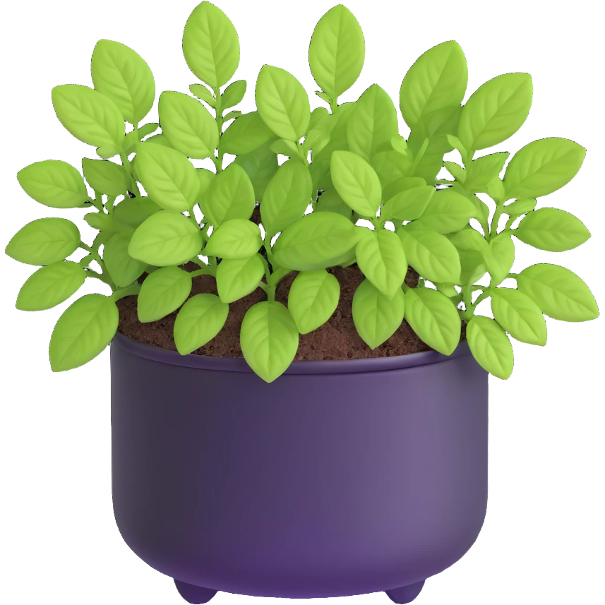 Small sprouts of Plectranthus Verticillatus with extremely round perfect circle leaves growing in a shiny metallic pot emoji