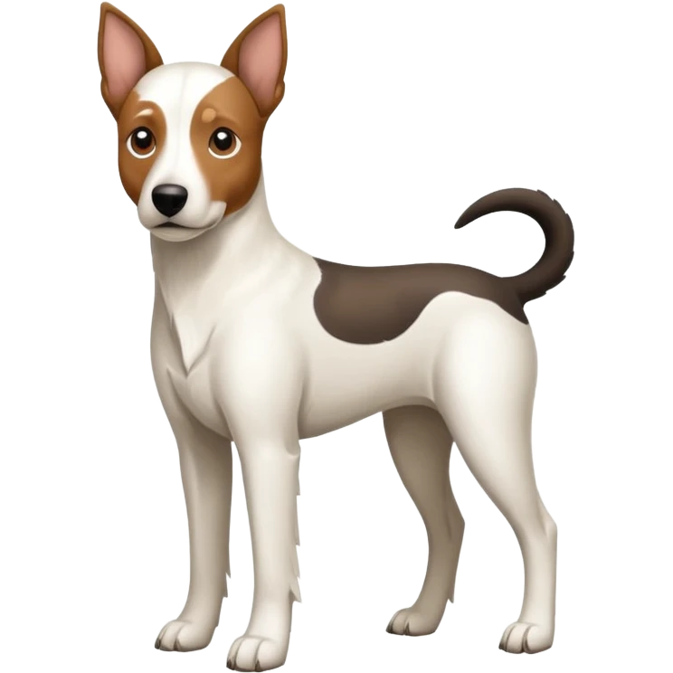 a full body large white floppy eared parson russell looking dog the size of a kelpie with light brown ears and a light brown patch on one eye and a large snout emoji