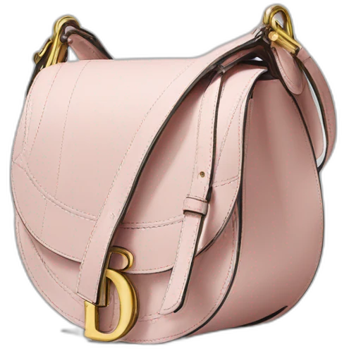 dior  saddle bag emoji