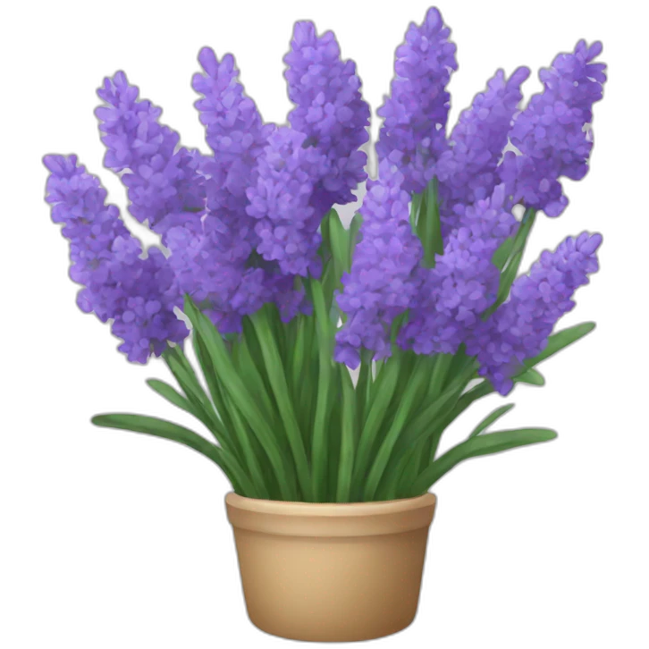 A bouquet of lavenders emoji