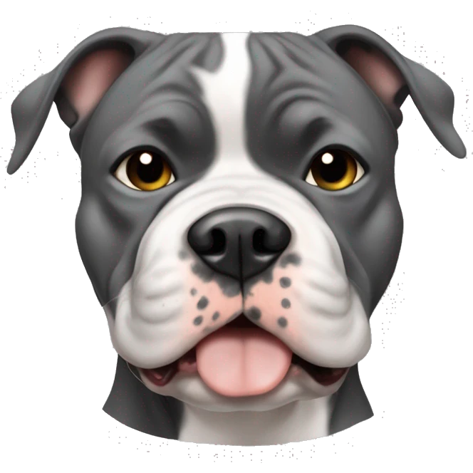 American bully dog boy brindle white and grey and black big head emoji