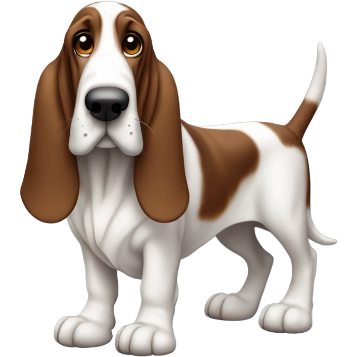 Basset hound  emoji