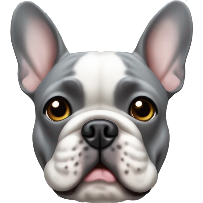 Grey French bulldog emoji
