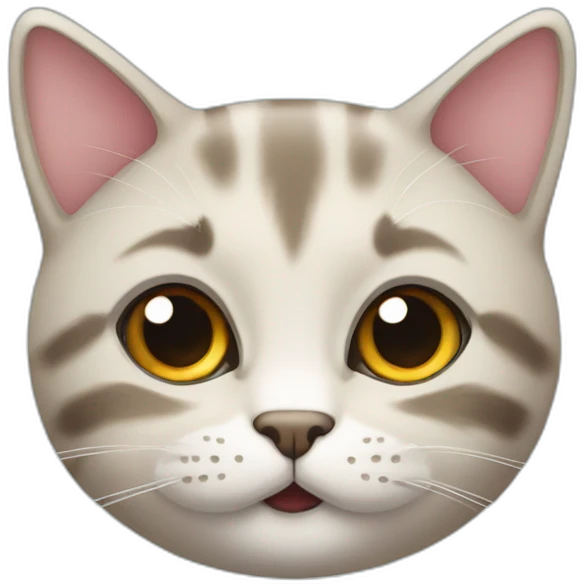 smiling scottish straight cat face emoji