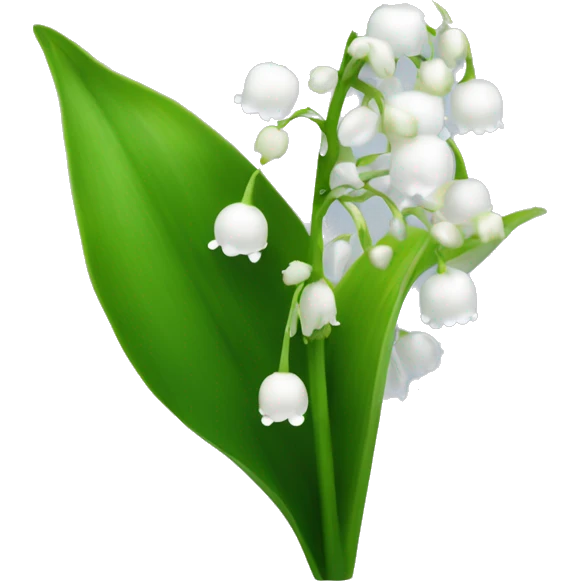 Lily of the valley flower white with green stem and clear frost droplets on the flower  emoji