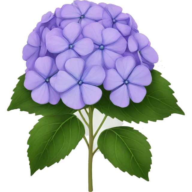hydrangea emoji