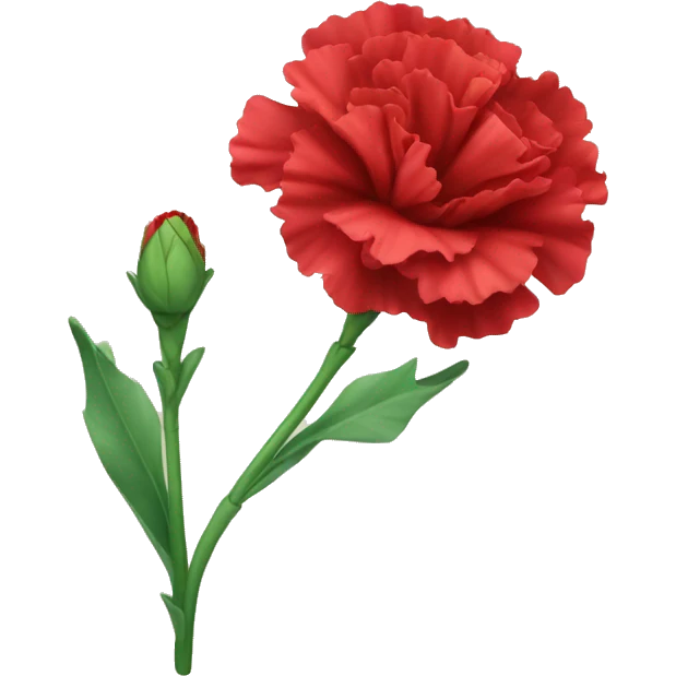 red Carnation flower emoji