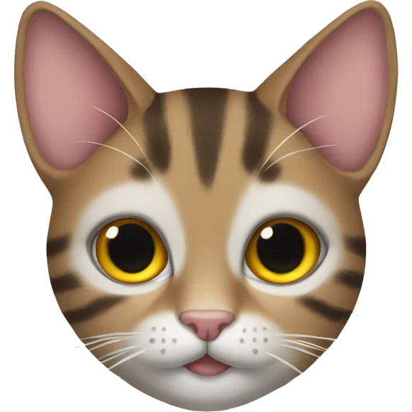 tabby cat with boo emoji