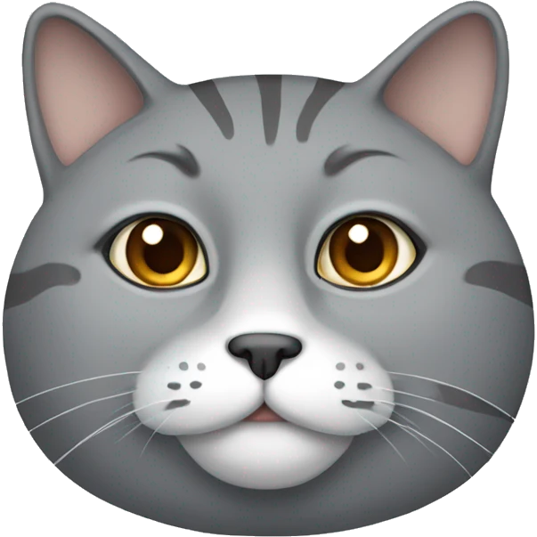 gray fat cat with brown eyes  emoji