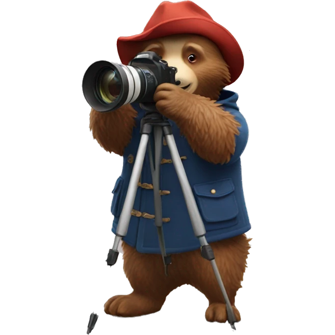 Paddington taking photos emoji