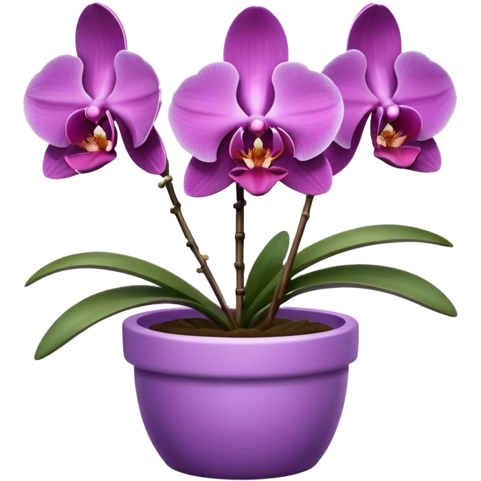 Purple Orchid in a pink pot emoji