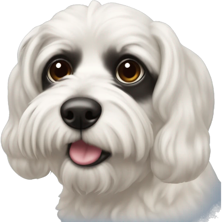 malteese with a big black nose emoji