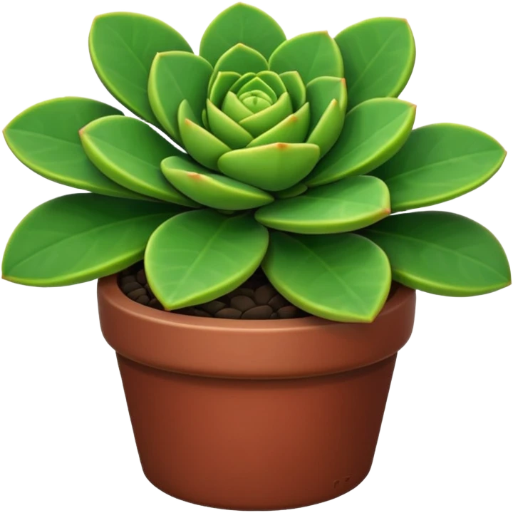 crassula emoji